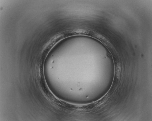 X0000062840734200601201637