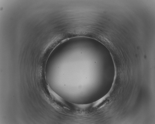 X0000062840735200601201637