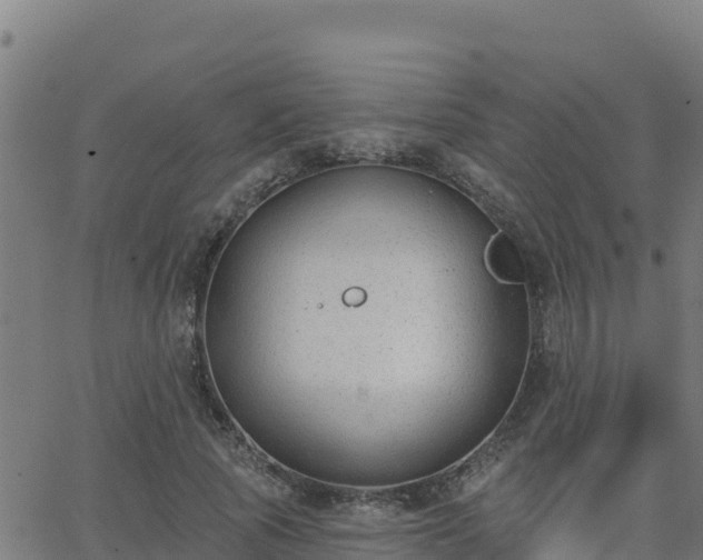 X0000062840737200601201637