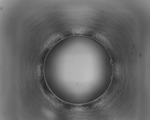 X0000062840738200601201637