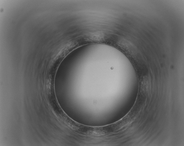 X0000062840739200601201637