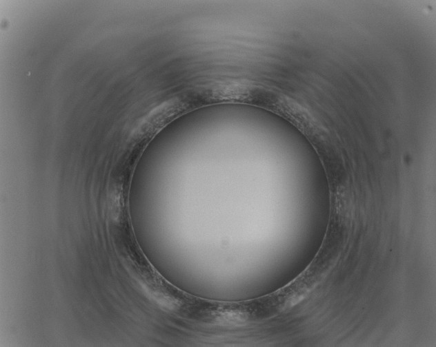 X0000062840741200601201637