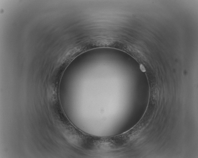 X0000062840743200601201637