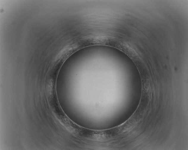 X0000062840744200601201637