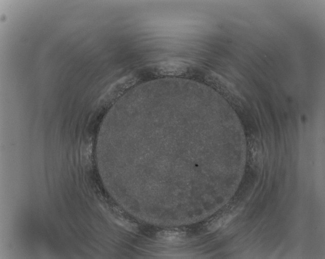 X0000062840745200601201637