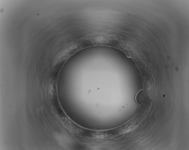 X0000062840746200601201637