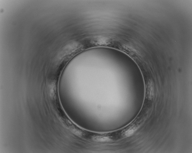 X0000062840747200601201637