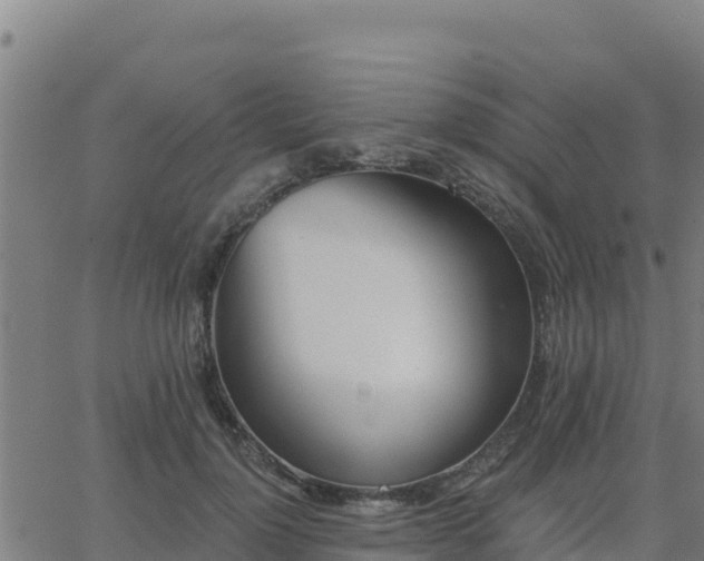 X0000062840748200601201637