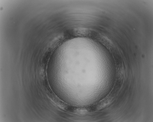 X0000062840749200601201637