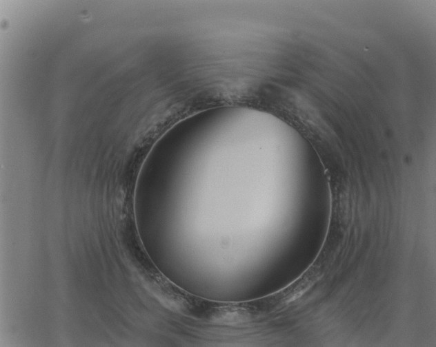 X0000062840750200601201637