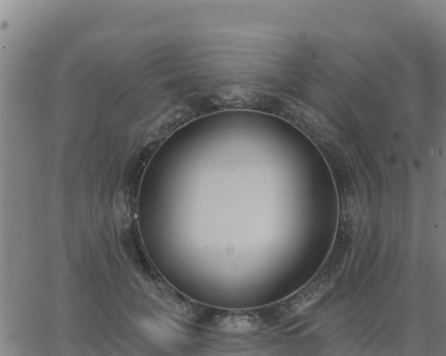 X0000062840751200601201637