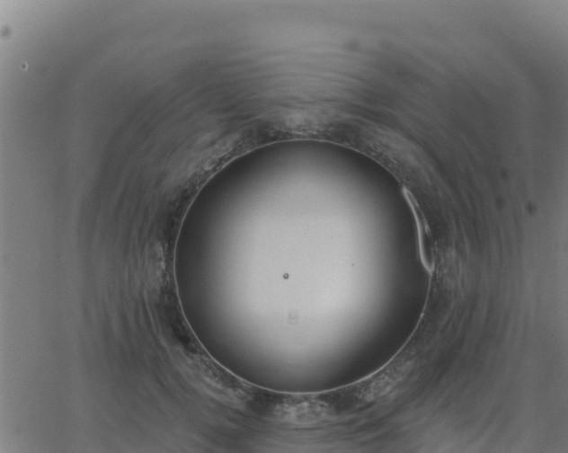 X0000062840752200601201637