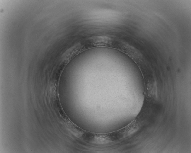 X0000062840753200601201637