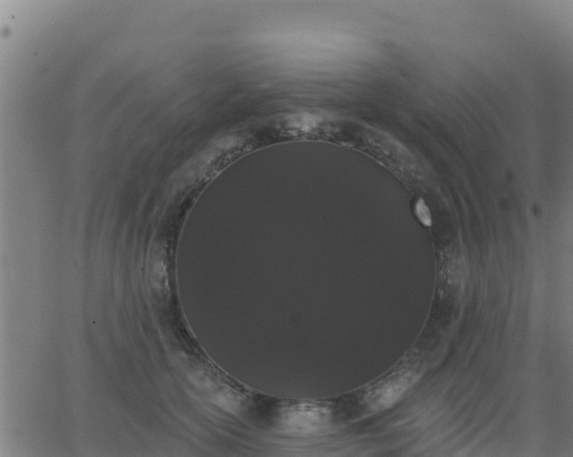 X0000062840754200601201637