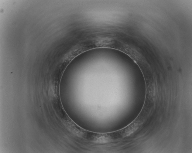 X0000062840755200601201638