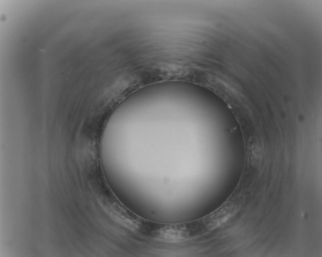 X0000062840756200601201638