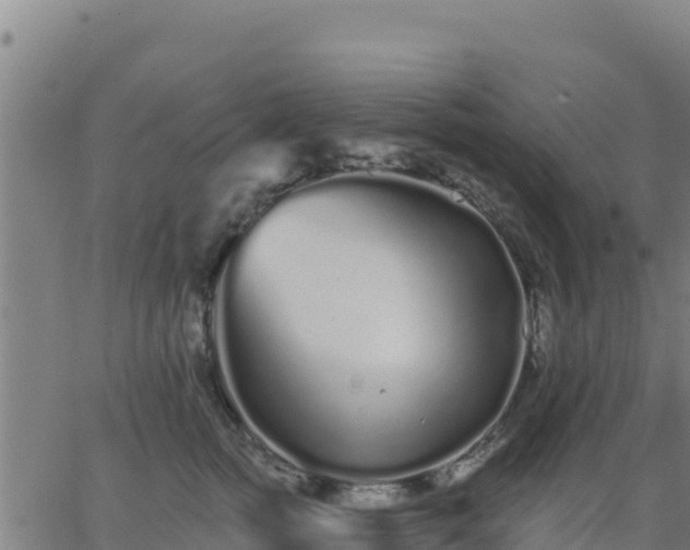 X0000062840758200601201638