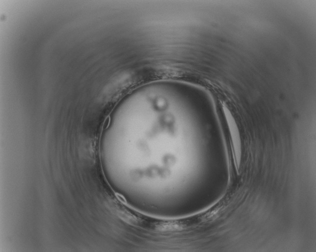 X0000062840759200601201638