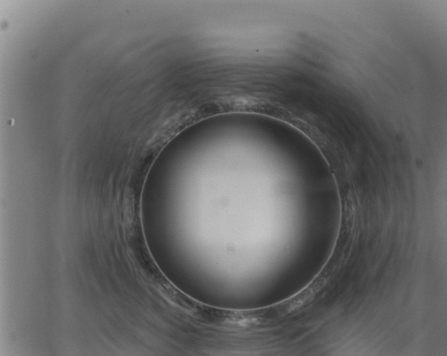 X0000062840760200601201638