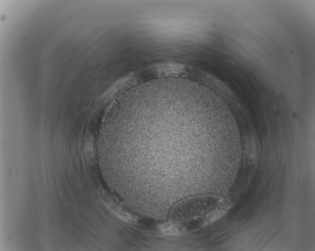 X0000062840761200601201638