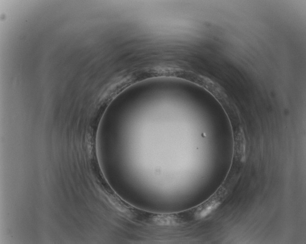 X0000062840762200601201638