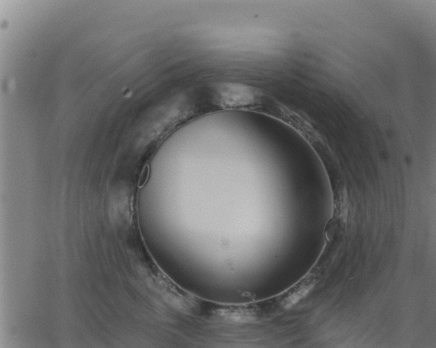 X0000062840763200601201638