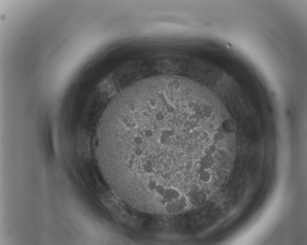 X0000062840765200601201638