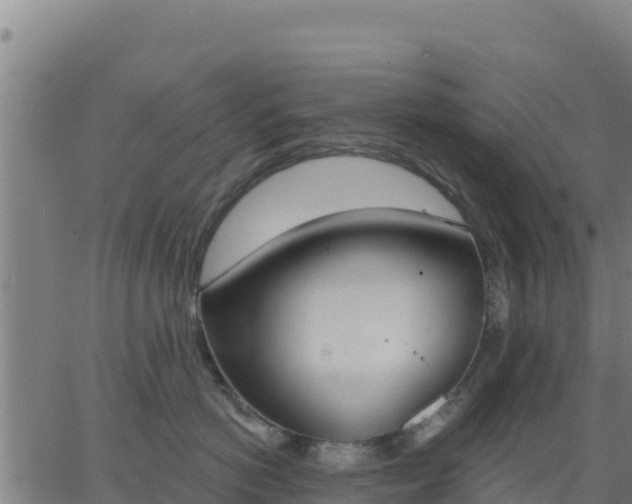 X0000062840766200601201638