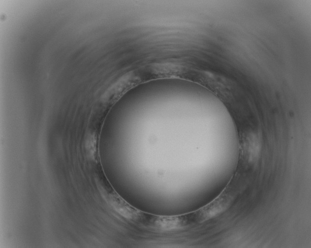 X0000062840767200601201638