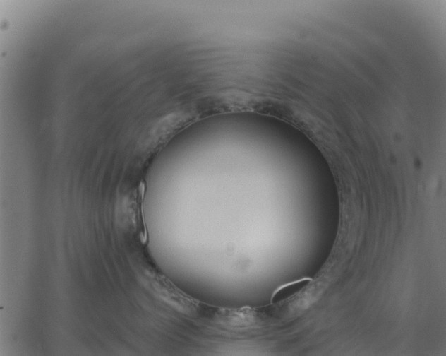 X0000062840768200601201638