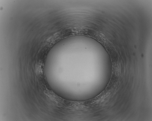 X0000062840770200601201637