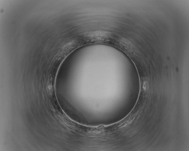 X0000062840771200601201637