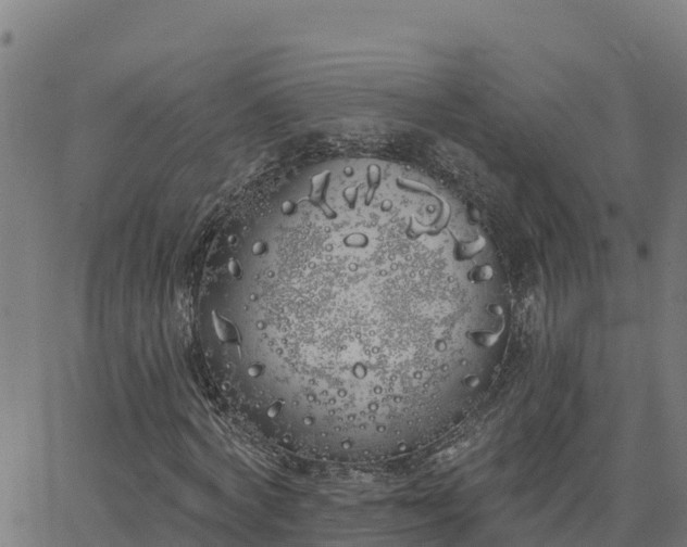 X0000062840772200601201637