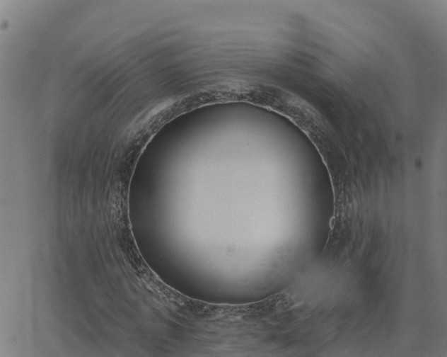 X0000062840773200601201637