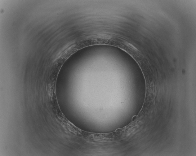 X0000062840774200601201637