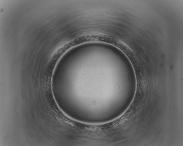 X0000062840775200601201637