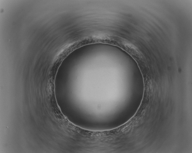 X0000062840776200601201637