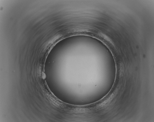 X0000062840777200601201637