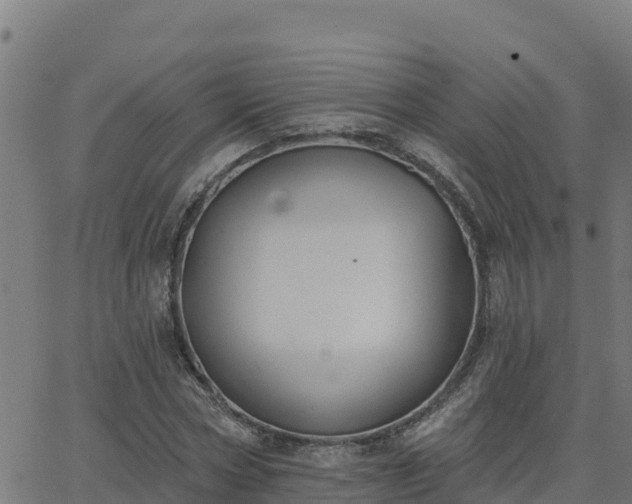 X0000062840778200601201637