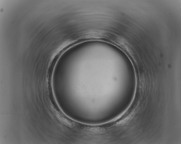 X0000062840779200601201637