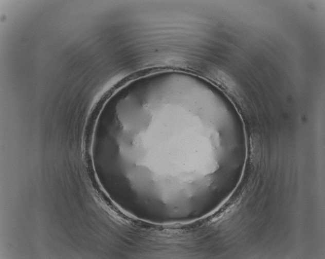 X0000062840780200601201637