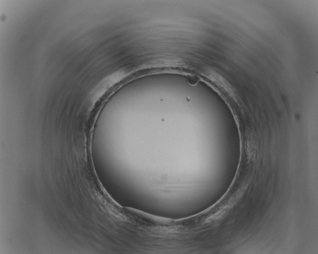 X0000062840781200601201637