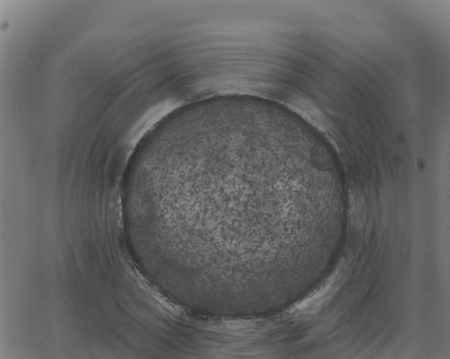 X0000062840782200601201637