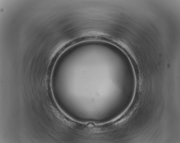 X0000062840783200601201637