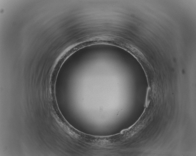 X0000062840784200601201637