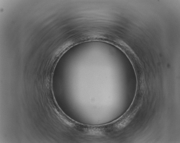 X0000062840785200601201637