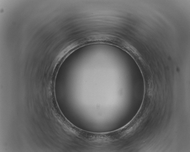 X0000062840786200601201637