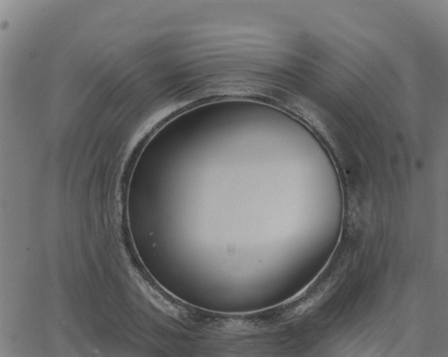 X0000062840787200601201637