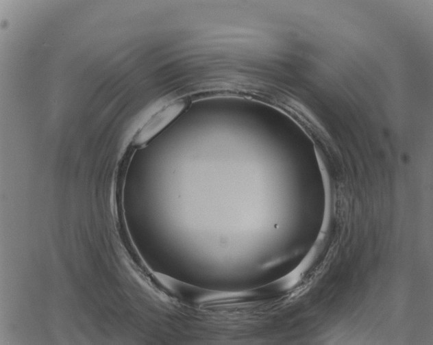 X0000062840788200601201637