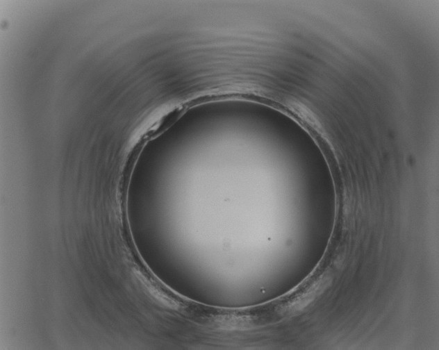 X0000062840789200601201637